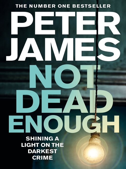 Not Dead Enough (eBook): Detective Superintendent Roy Grace Series, Book 3